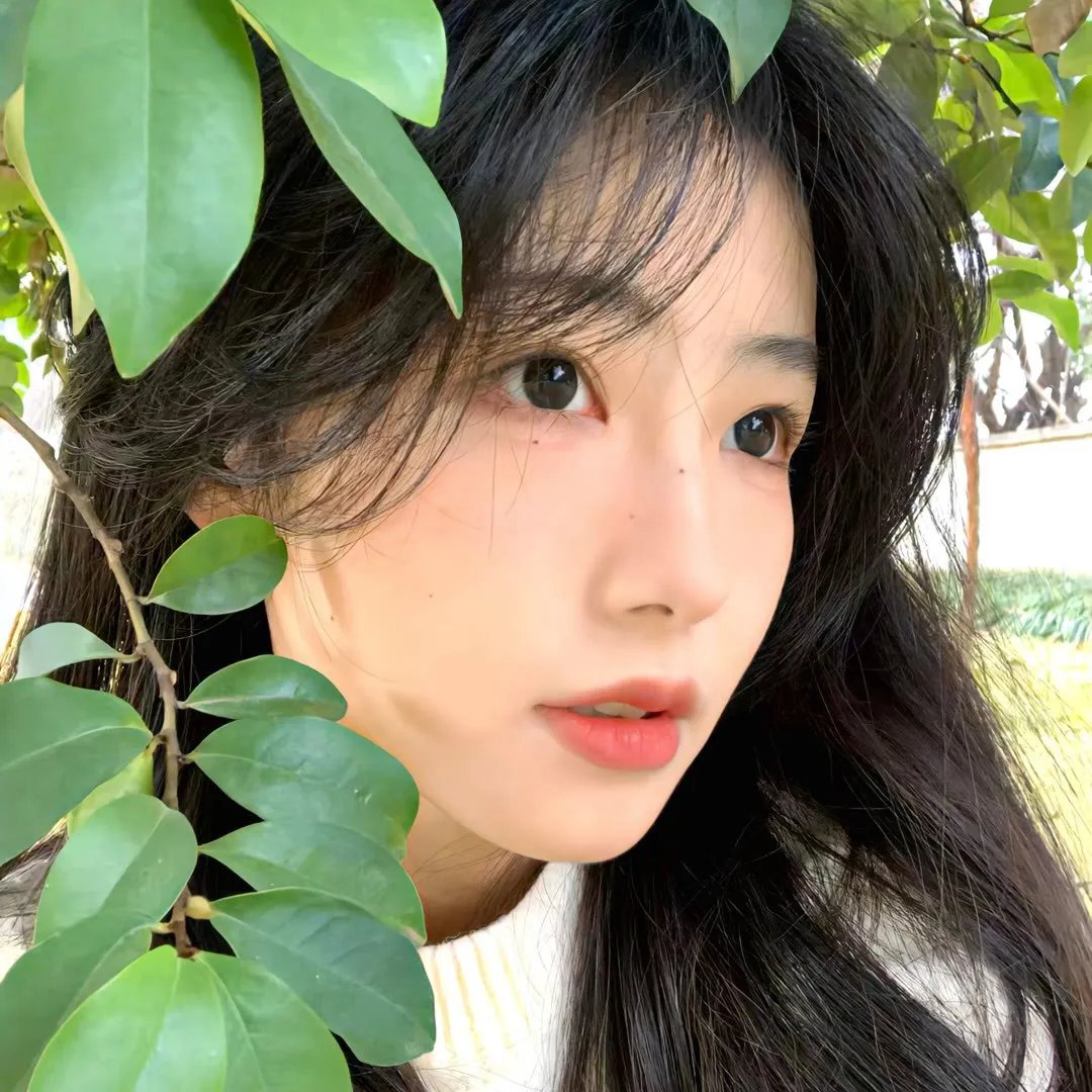 继承者风云